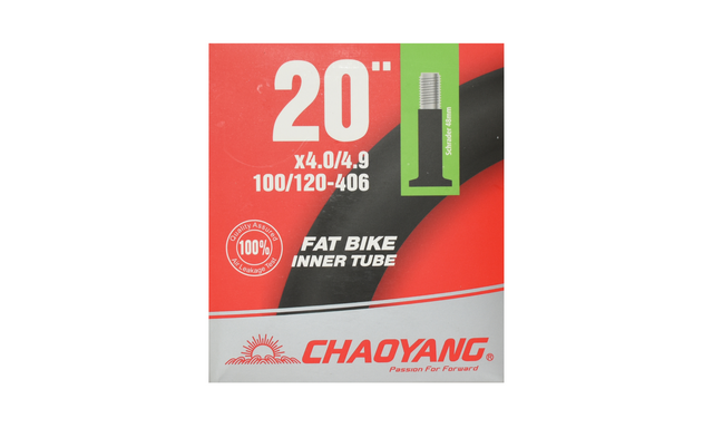 Chaoyang Slange 20x4.0-4.9 AV 48mm – billede 1