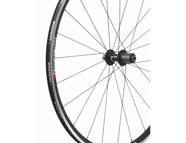 Vision Eger Kit Team 25
