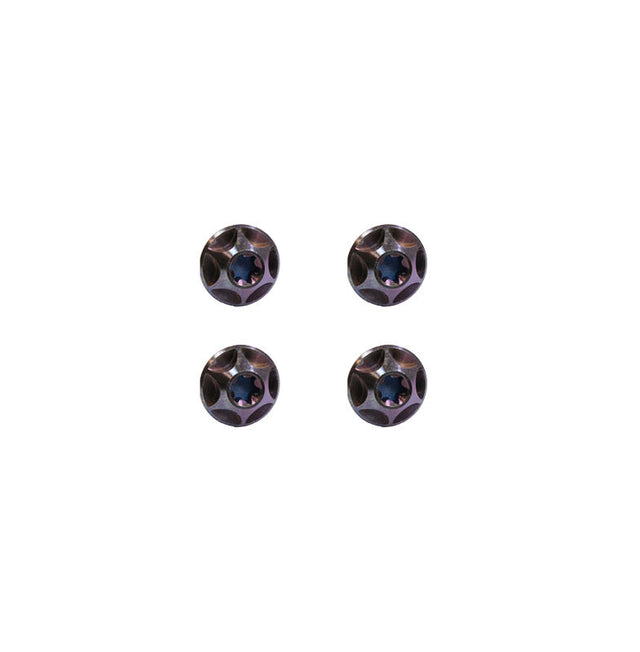 Silca Skruer Sicuro titanium purple 4x