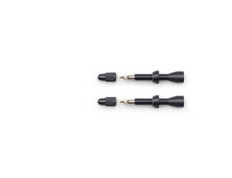 Scope Ventil tubeless R2.O