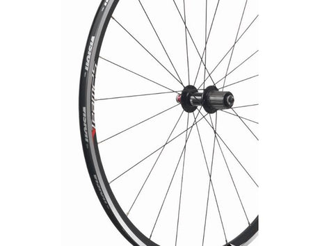 Vision Eger Kit Team 25