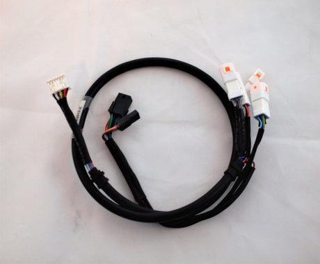 TranzX Kabel Display DP16, M25, AGT. Rear part, 50cm – billede 1