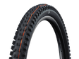 Schwalbe Tacky Chan Trail foldedæk 29" x 2,40" (62-622) – billede 1